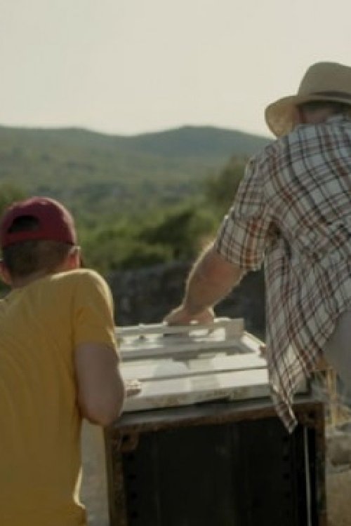 Poster do filme Bulky Waste