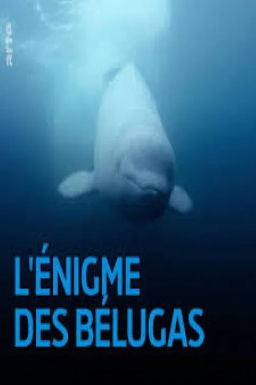 The Mystery of the Belugas movie poster