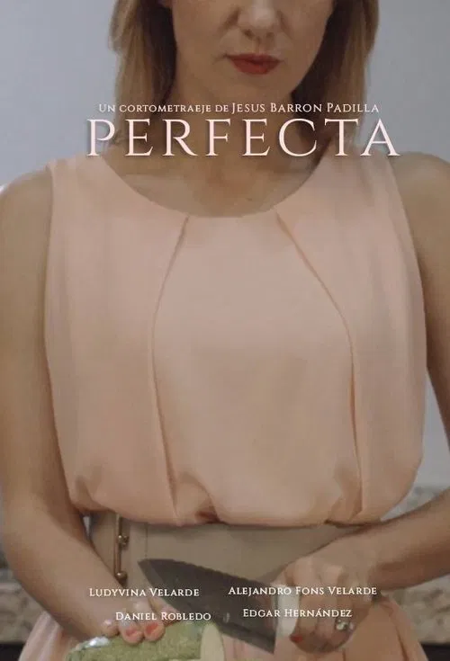 Perfecta movie poster