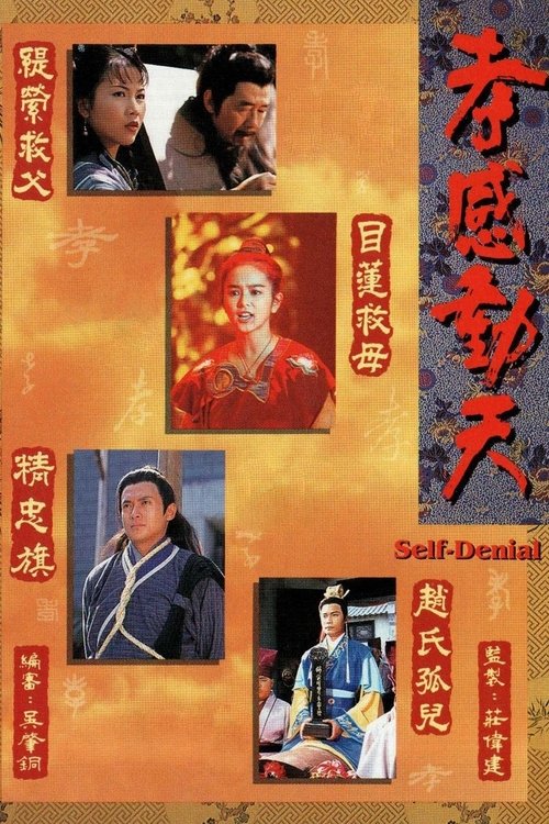 Self Denial tv show poster