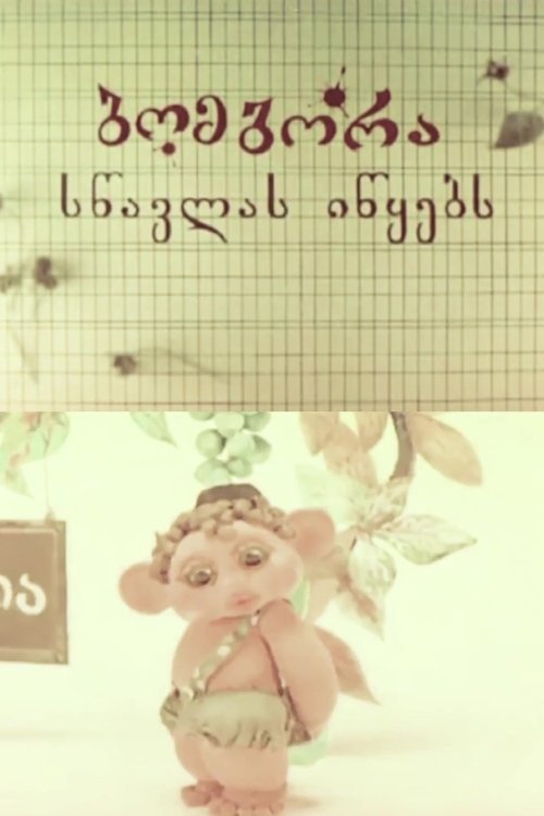 Bombora Begins to Study movie poster