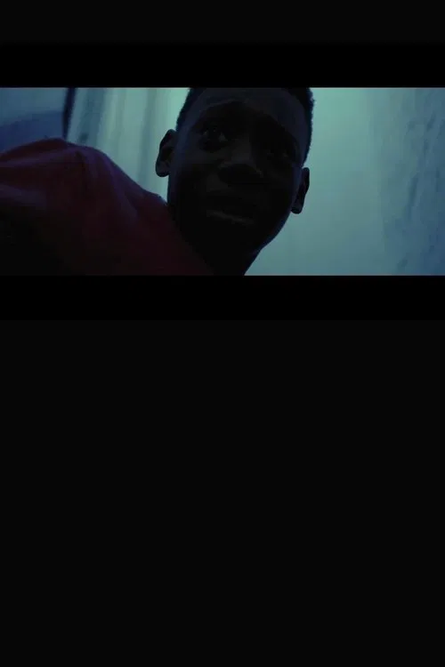 Poster do filme The Crone