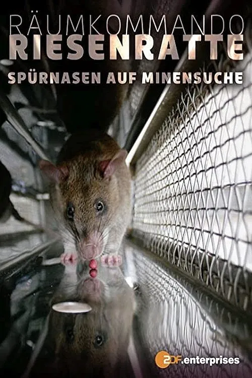 Poster do filme Räumkommando Riesenratte - Spürnasen auf Minensuche
