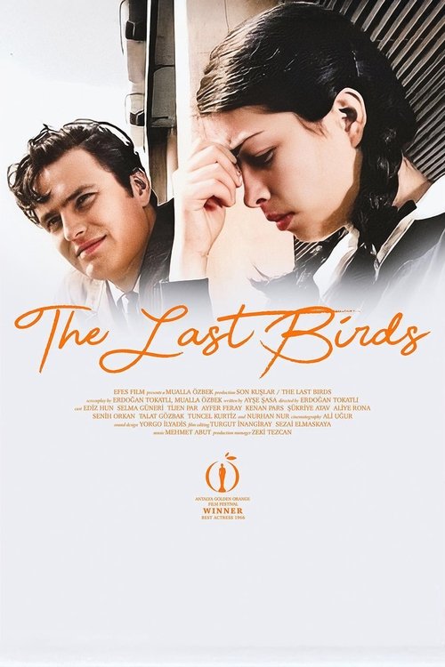 The Last Birds movie poster