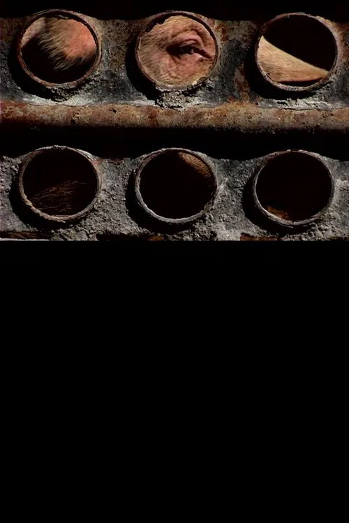 Pigs movie poster