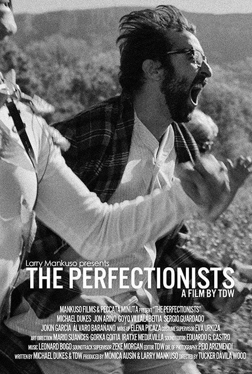 The Perfectionists movie poster