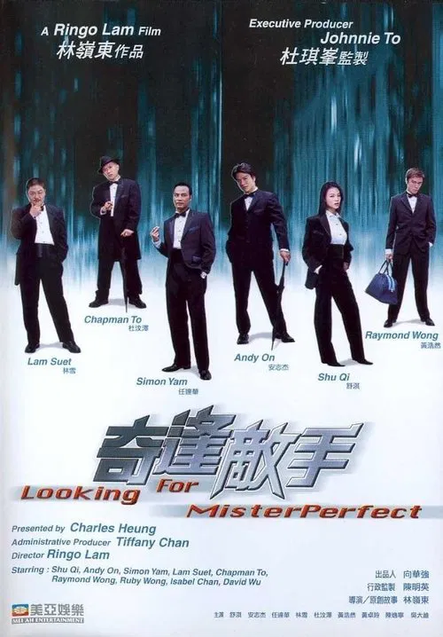 Looking for Mr. Perfect movie poster