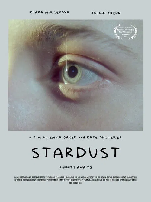 Poster do filme Stardust