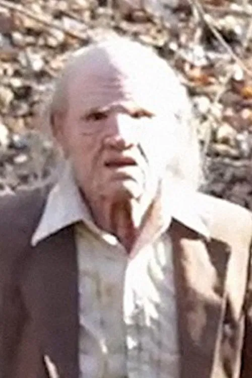 The Watcher's Woods movie poster