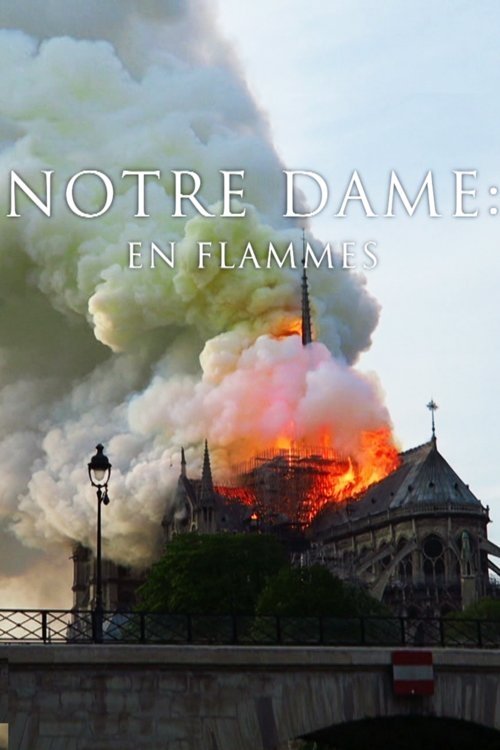 Poster do filme Pompiers de Paris : Sauver Notre-Dame