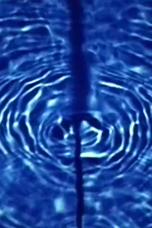 Fl.oz movie poster