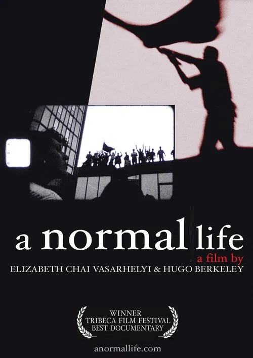 A Normal Life movie poster