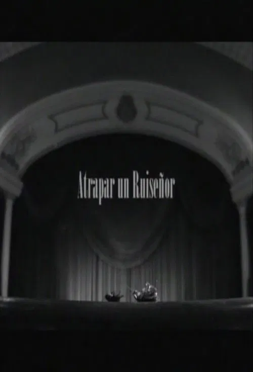 Atrapar un ruiseñor movie poster