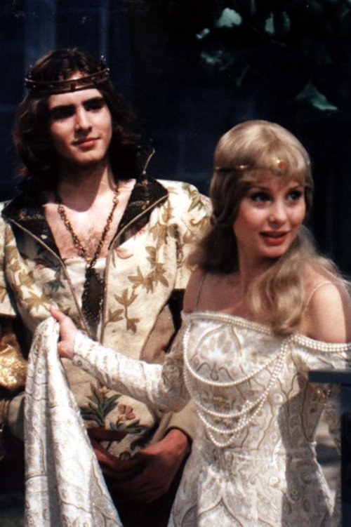 Poster do filme Spravedlivý Bohumil