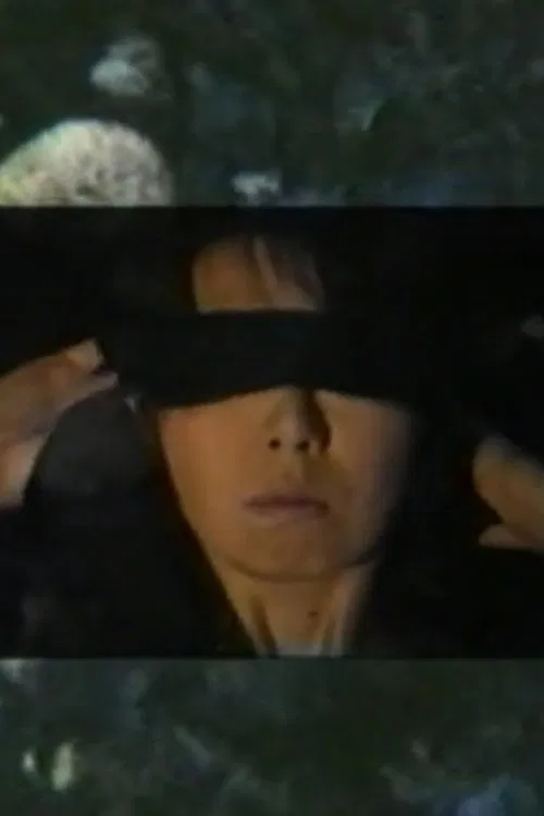 Poster do filme The Leap (No Leap)