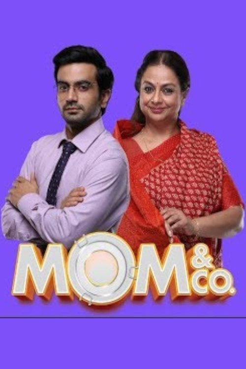Mom and Co tv show poster