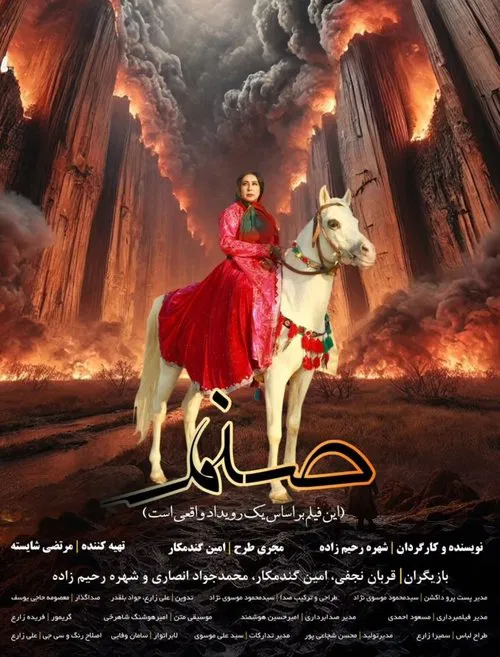 Poster do filme Sanam