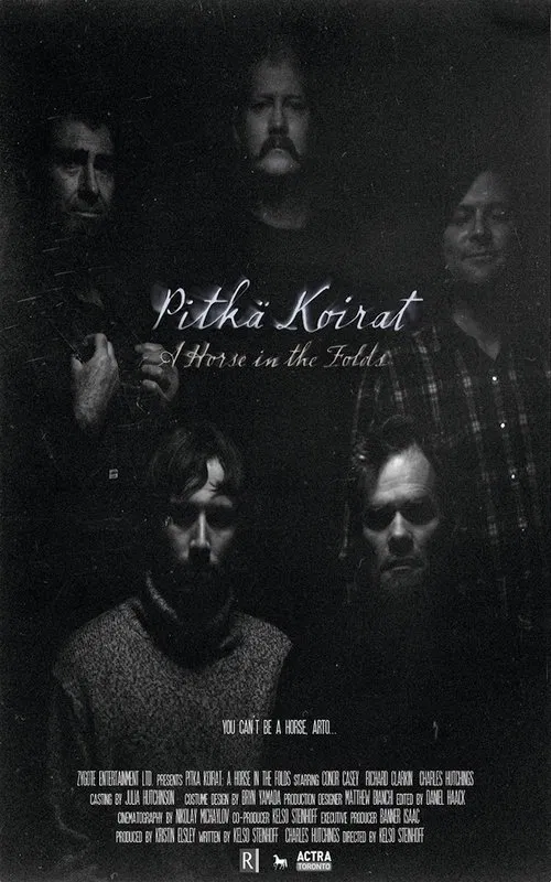 Pitka Koirat: A Horse in the Folds movie poster
