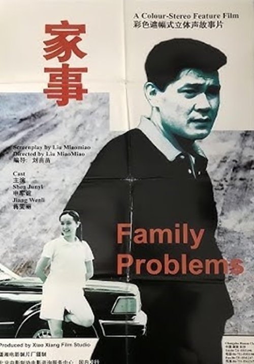 Poster do filme Family Problems