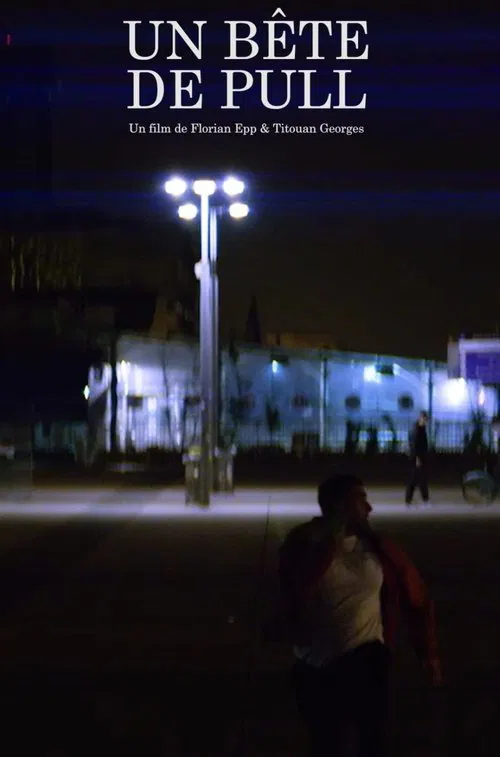 Un Bête de Pull movie poster