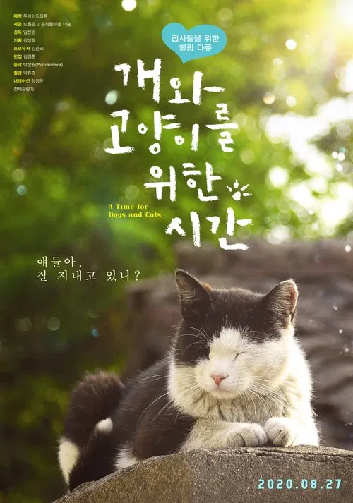A Time for Dogs and Cats movie poster