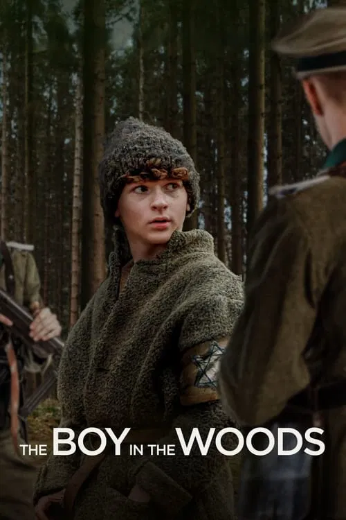 The Boy in the Woods movie poster