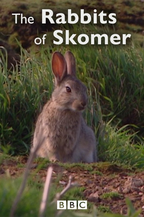 The Rabbits of Skomer movie poster
