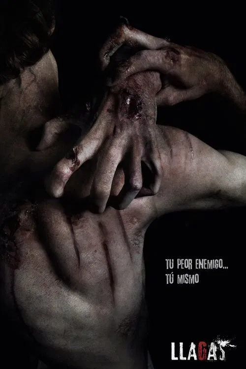 Poster do filme Llagas
