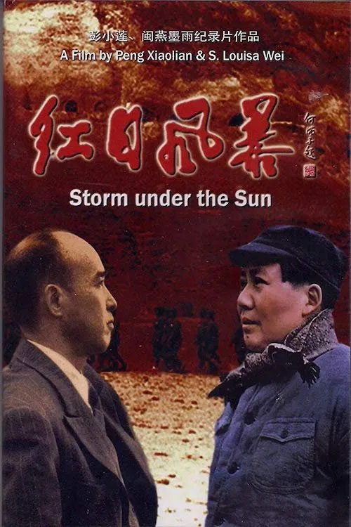Storm Under the Sun movie poster