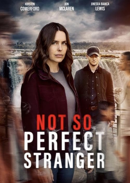 Not So Perfect Stranger movie poster
