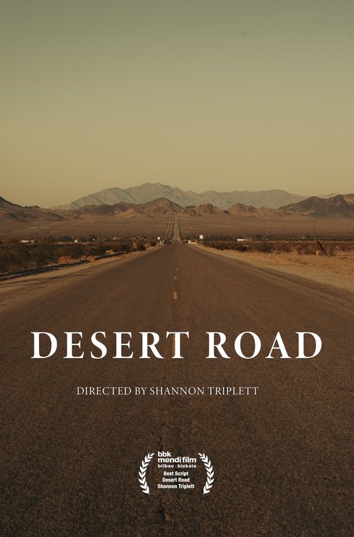Poster do filme Desert Road