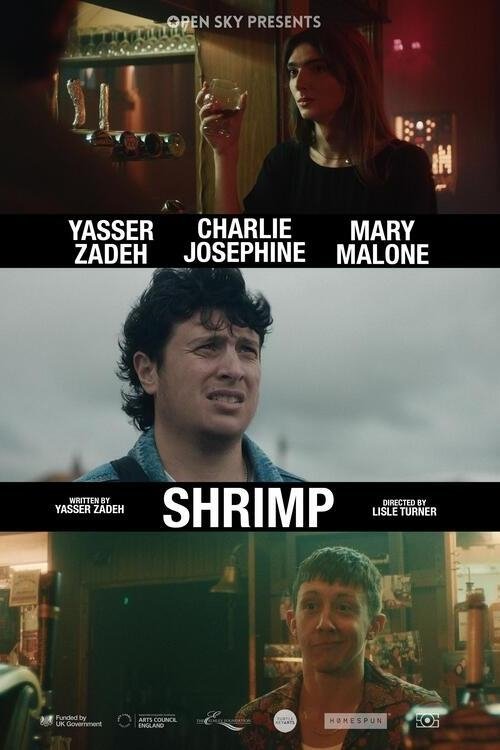 Poster do filme Shrimp