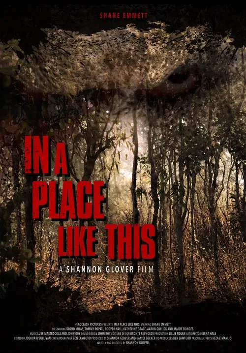 In A Place Like This movie poster