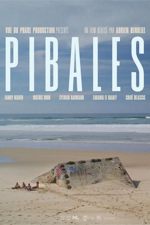 Pibales movie poster