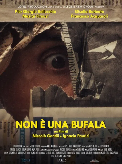 Non è una bufala movie poster