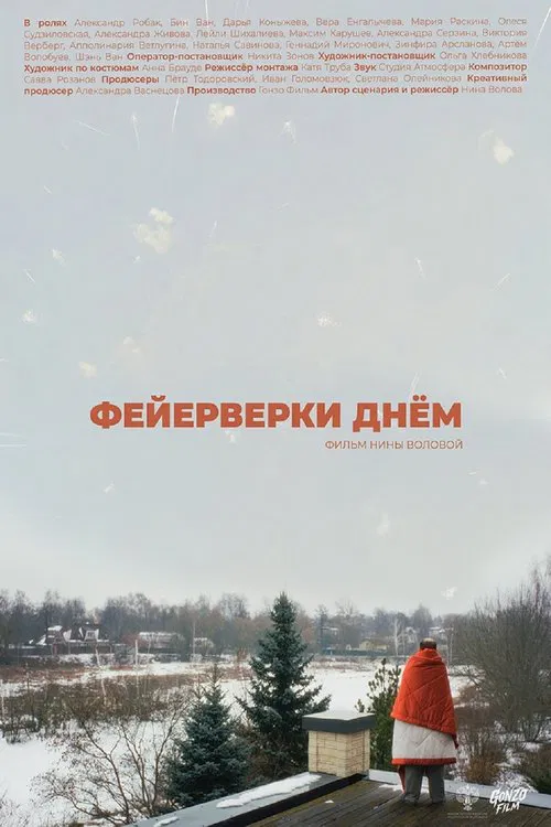 Фейерверки днём movie poster