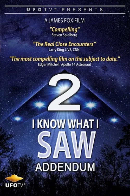 Poster do filme I Know What I Saw Part 2 Addendum