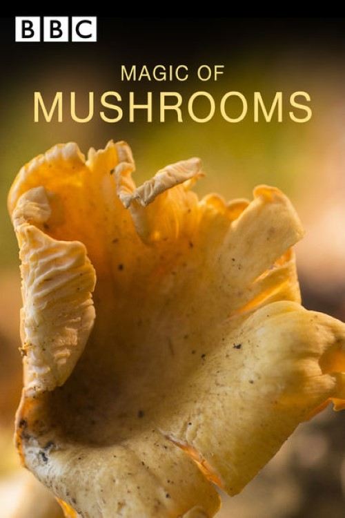 The Magic of Mushrooms movie poster