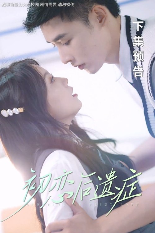 Sequelae of First Love tv show poster