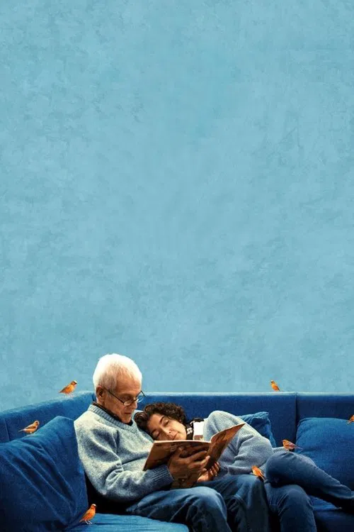 The Eternal Memory movie poster