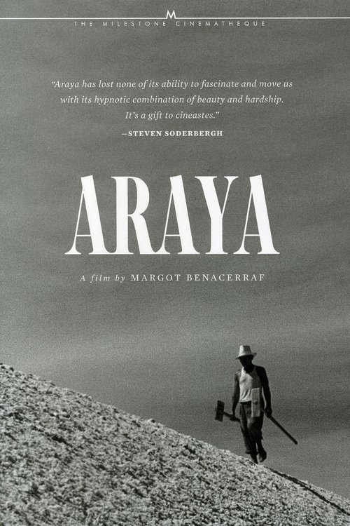 Araya movie poster
