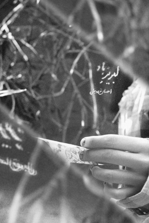 Poster do filme Awash of Wind