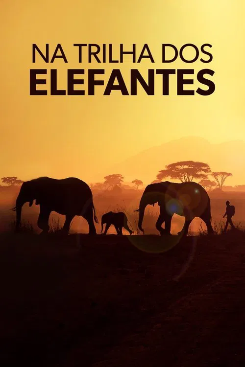 Poster da série Na Trilha dos Elefantes