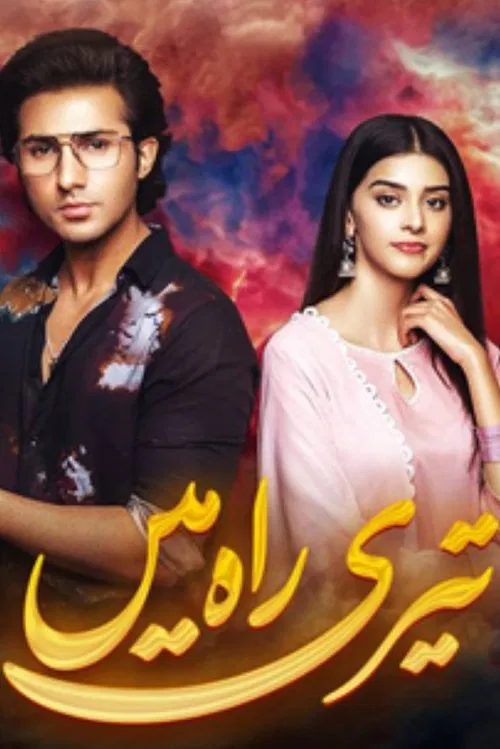 Teri Rah Mein tv show poster
