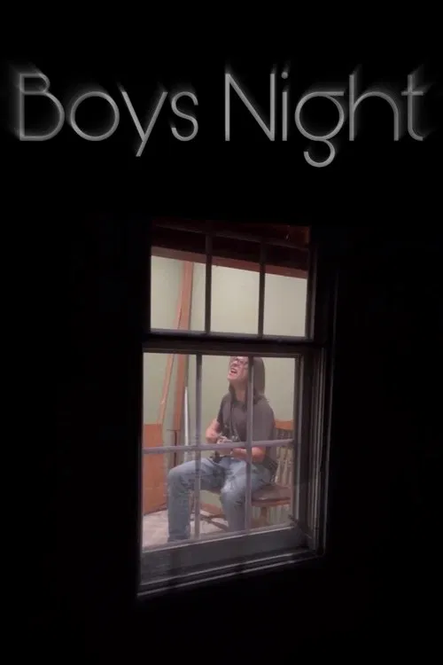 Poster do filme Boys Night