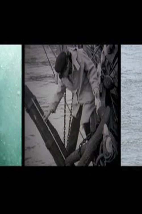 We Account the Whale Immortal movie poster