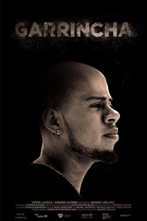 Garrincha movie poster