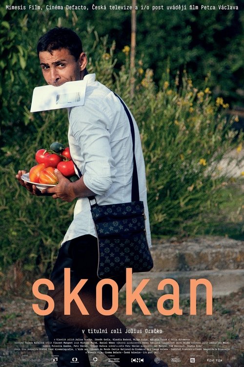 Poster do filme Skokan