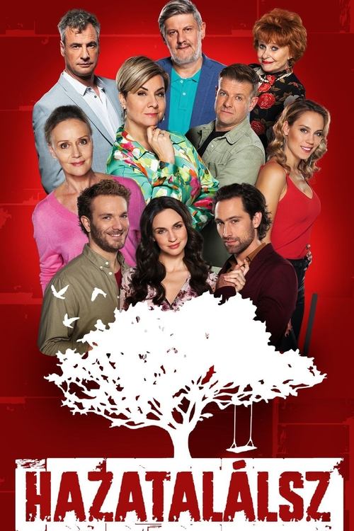 Hazatalálsz tv show poster