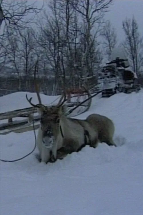 Niestebohcco njuovvan movie poster